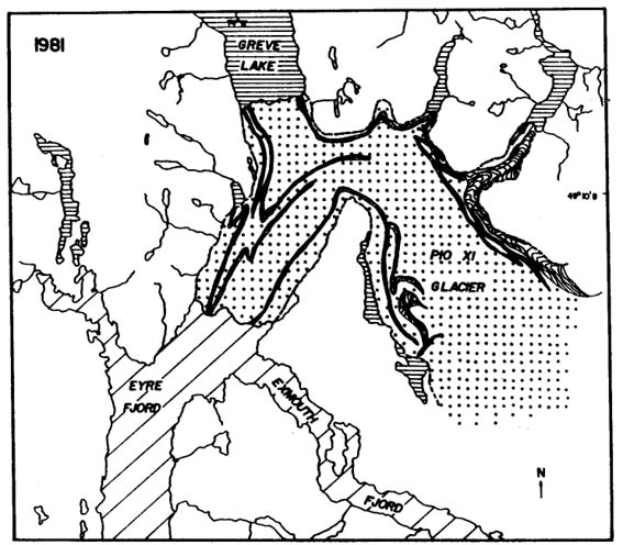 pio81.jpg (69544 bytes)